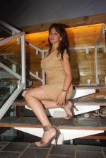 Shilpi Sharma at Be Careful music launch in Sheesha Lounge on 28th Sept 2011 (84).JPG